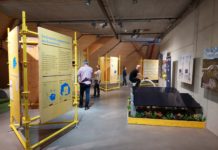 Solarstrom erleben – Geschichte und Potenziale